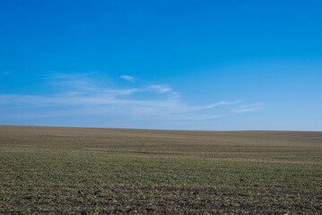 Fototapeta na wymiar Ploughed field and blue sky as background.