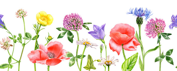 watercolor drawing flowers , floral seamless border background, hand drawn illustration