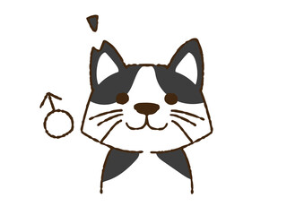 保護活動で耳をカットされた雄猫　コミカルな手書きの人物　ベクター、線画にカラー