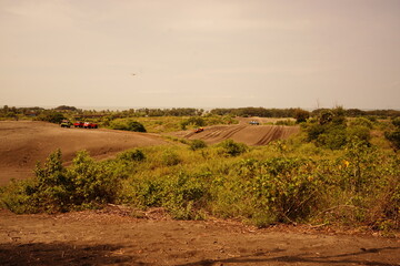 landscape with a tree in the background