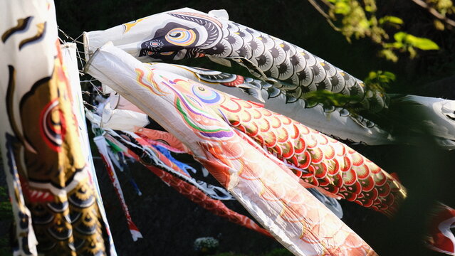 Carp Streamer