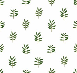 Herbal seamless pattern. Floral background. Botanic. Herbarium print