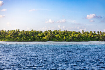 View of a group of palm trees on an island in the Maldives