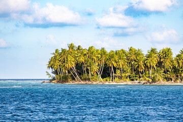View of a group of palm trees on an island in the Maldives