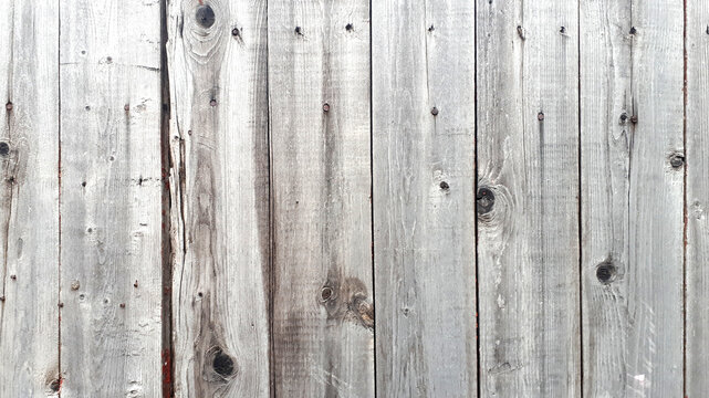The background is a wooden fence. Old wooden boards of light gray color. The weathered surface of the tree. Horizontal photo with vertical boards.