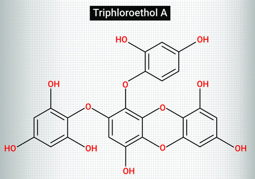 Fucophlorethol A is a phlorotannin found in the brown alga Fucus vesiculosus