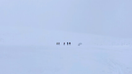 A group of tourists goes skiing. Long shot. Ski trip across the expanses of Russia. Beautiful winter landscape.