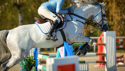 Jumping horse, white, with rider jumping over an obstacle, photographed from the side..