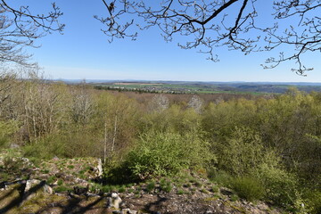 Lohwald im L&uuml;tzelsoon