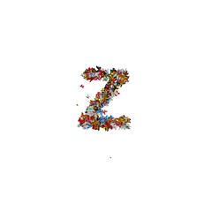 Colored Butterfly Forming Typeface Z
