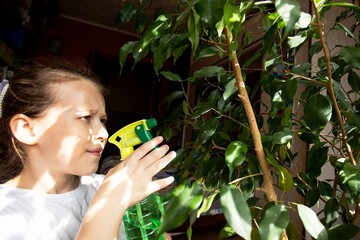 girl child in a white t-shirt sprinkles moisture on a huge green tree