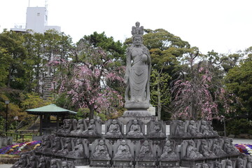 Obraz premium お寺