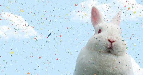 Image of colorful confetti falling over bunny