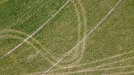 truck wheel lines in the grass