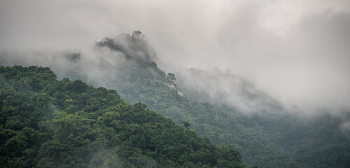 Misty mountain. Panoramic Shot Of Trees In Forest Against Sky. Misty rain forest. Color image of the clouds flowing through the trees. rainforest landscape jungle background. Jurassic world forest. 