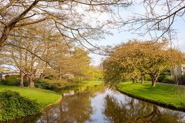 Fototapeta na wymiar Beautiful spring landscape of park trees located along the bank of the canal with reflection of trees and blue sky in the water