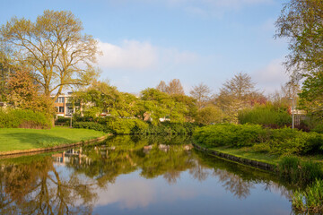 Beautiful spring landscape of park trees located along the bank of the canal with reflection of trees and blue sky in the water