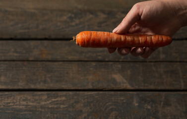 Carrot in hand on wooden texture background. Concept: market, vegetables, carrots