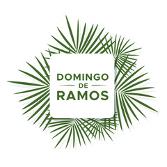 Palm Sunday banner in Spanish. Domingo de Ramos. Holy Week. Vector illustration, flat design