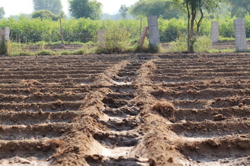 Photo of a drain made of clay to water the seeds sown in the field, India