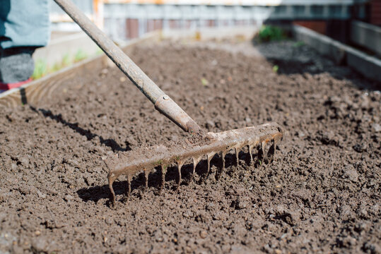 Soil preparation for sowing, garden work concept. Rake on soil of beds, outdoors. Low angle view, selective focus