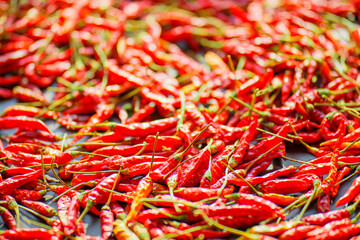 Fototapeta premium Natural dehydration of vegetables. Red pepper pods dry under the sun. Texture of red hot pepper