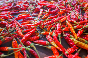 Texture of red hot pepper. Natural dehydration of vegetables. Red pepper pods dry under the sun