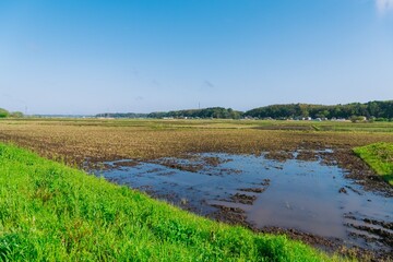 landscape with river