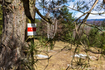 Am Karstwanderweg im S&uuml;dharz
