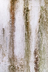 Mortar wall texture. Cement texture background. Old mortar abstract background. Concrete bare wallpaper