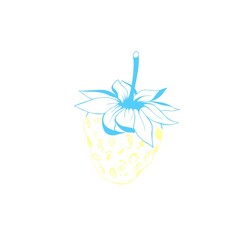 yellow-blue strawberry is the color of the flag of Ukraine. national symbol of ukraine. fruit strawberry sketch. stop war in ukraine