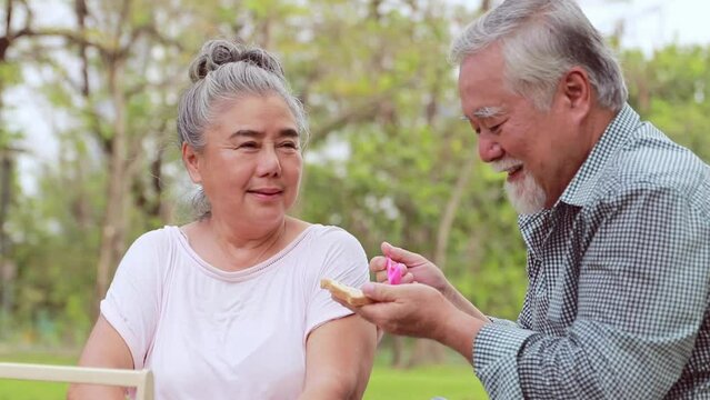 Happy family life insurance concept : Lovely time for senior couples, retired Asian couples having free time together for recreational activities camping in the garden on weekends.