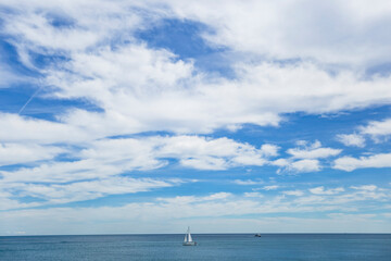 palm trees on the beach of Barcelona and blue sky 