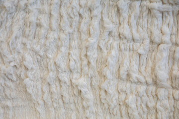 White Cotton or wool texture background surface. Textile industry concept background.