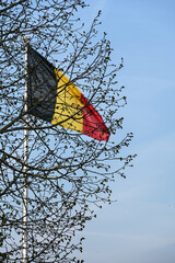 belge Belgique drapeau pays federal patrie patriotique couleur arbre environnement