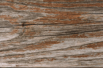 Wallpapers wood texture