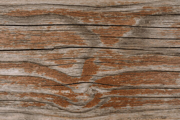 Wallpapers wood texture