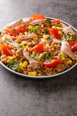 Healthy spelt salad with tuna and vegetables close-up in a plate on the table. vertical