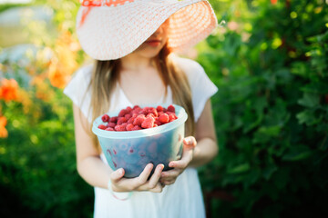 large bowl with raspberries in children's hands, harvesting and picking berries from their garden....
