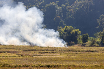 The destruction of forest for shifting cultivation in Thailand.