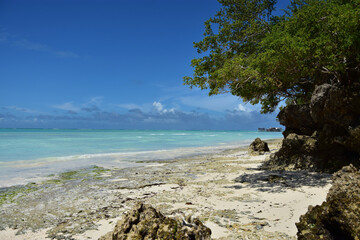 View of the blue waters and sandy bottom of the Indian Ocean at low tide on the coast on the island of Zanzibar in Tanzania
