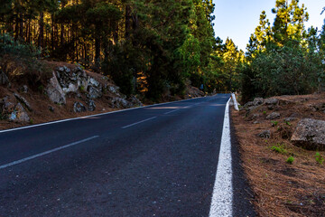 Carretera rodeada de pinos en el Parque Nacional del Teide, isla de Tenerife.