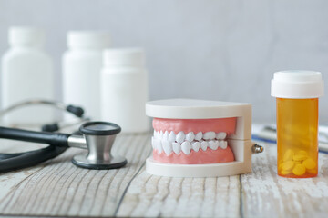 Fototapeta na wymiar plastic dental teeth model on white background 