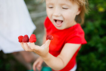 Cute funny european girl toddler kid eating raspberries with fingers with hands, happy childhood and lifestyle. Daughter helps to pick berries in the garden, eco-friendly healthy natural berries