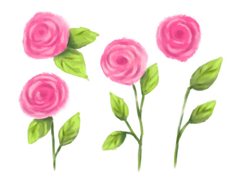 Pink rose flower clip art set. Hand drawn floral illustrations isolated on white background. Botanical garden clipart collection.