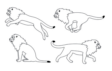 Vector set of flat outline lions isolated on white background
