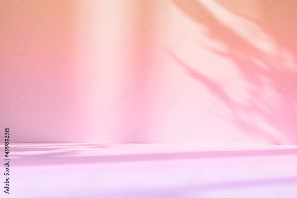 Poster Abstract gradient pink studio background for product presentation. Empty room with shadows of window and flowers and palm leaves . 3d room with copy space. Summer concert. Blurred backdrop.