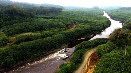Aerial view. Fog over the tropical forest. River in the jungle. Tropical Africa.
