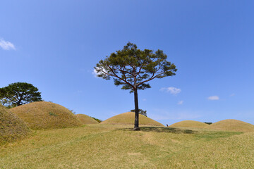 Fototapeta na wymiar Korean ancient tombs in Okjeon, Hapcheon-gun, South Korea. 