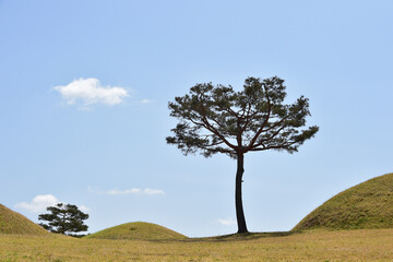 Korean ancient tombs in Okjeon, Hapcheon-gun, South Korea. 